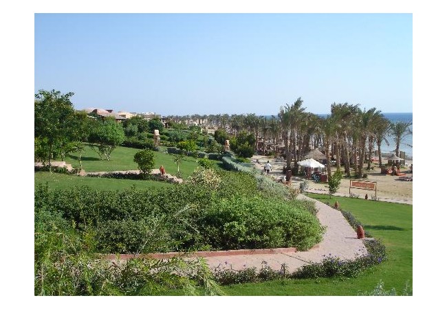 Photos of CLUB CALIMERA Habiba Beach, Marsa Alam