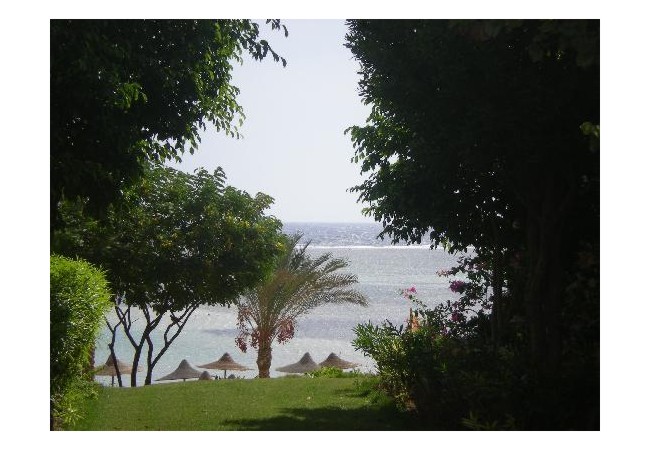 Photos of CLUB CALIMERA Habiba Beach, Marsa Alam