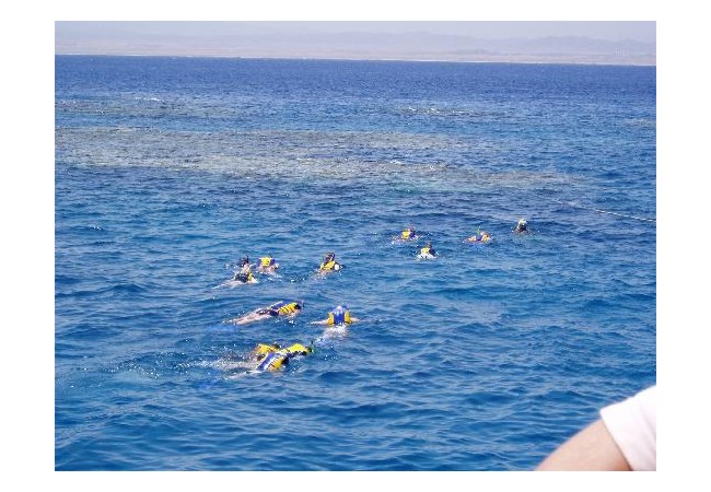 Photos of CLUB CALIMERA Habiba Beach, Marsa Alam